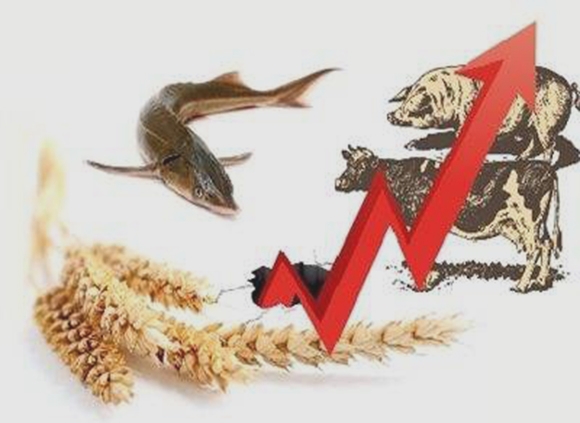 农林牧渔.jpg 农林牧渔.jpg