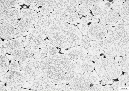 不锈钢精密管的金相检验.png 不锈钢精密管的金相检验.png